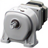 Foot Mount Gearhead JB Gearhead