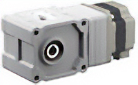 Right-Angle Hollow Shaft Hypoid JH Gearhead