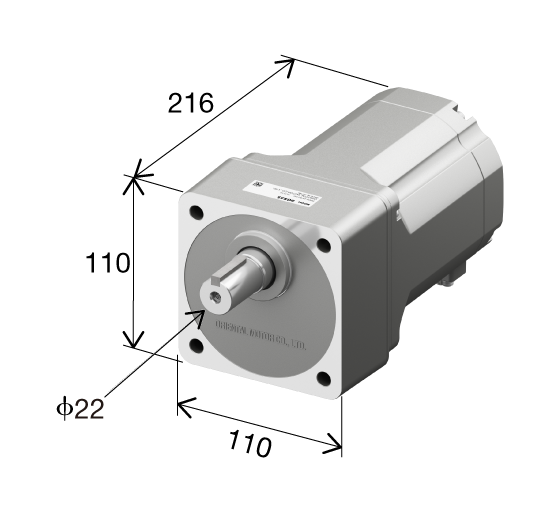 Motor dimensions. 3D diagonal view of the motor body, which is rectangular in shape, 110 mm in height, 216 mm in depth, and 110 mm in width, with a 22 mm diameter output shaft on the front. Each dimension is clearly marked with arrows and numerical values.