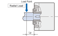 Radial Load